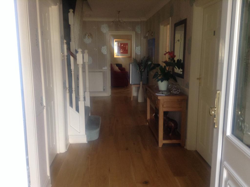 Bure Lodge Christchurch  Dış mekan fotoğraf